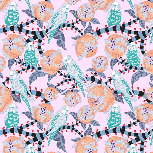 Budgie Breath - Turquoise