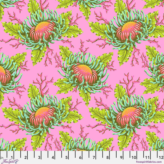 Friends & Anemones - Coralline