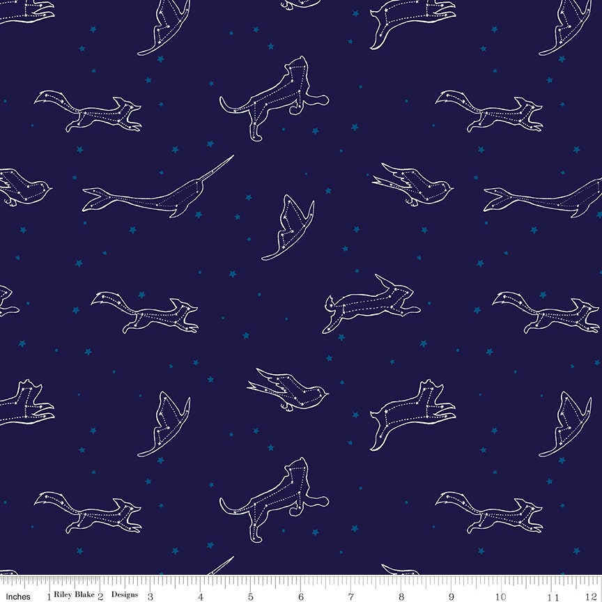 Constellations - Navy - Dreamworld - Emily Winfield Martin