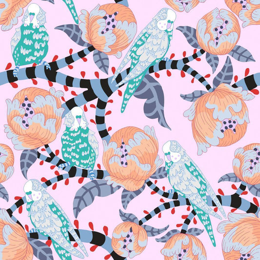 Budgie Breath - Turquoise