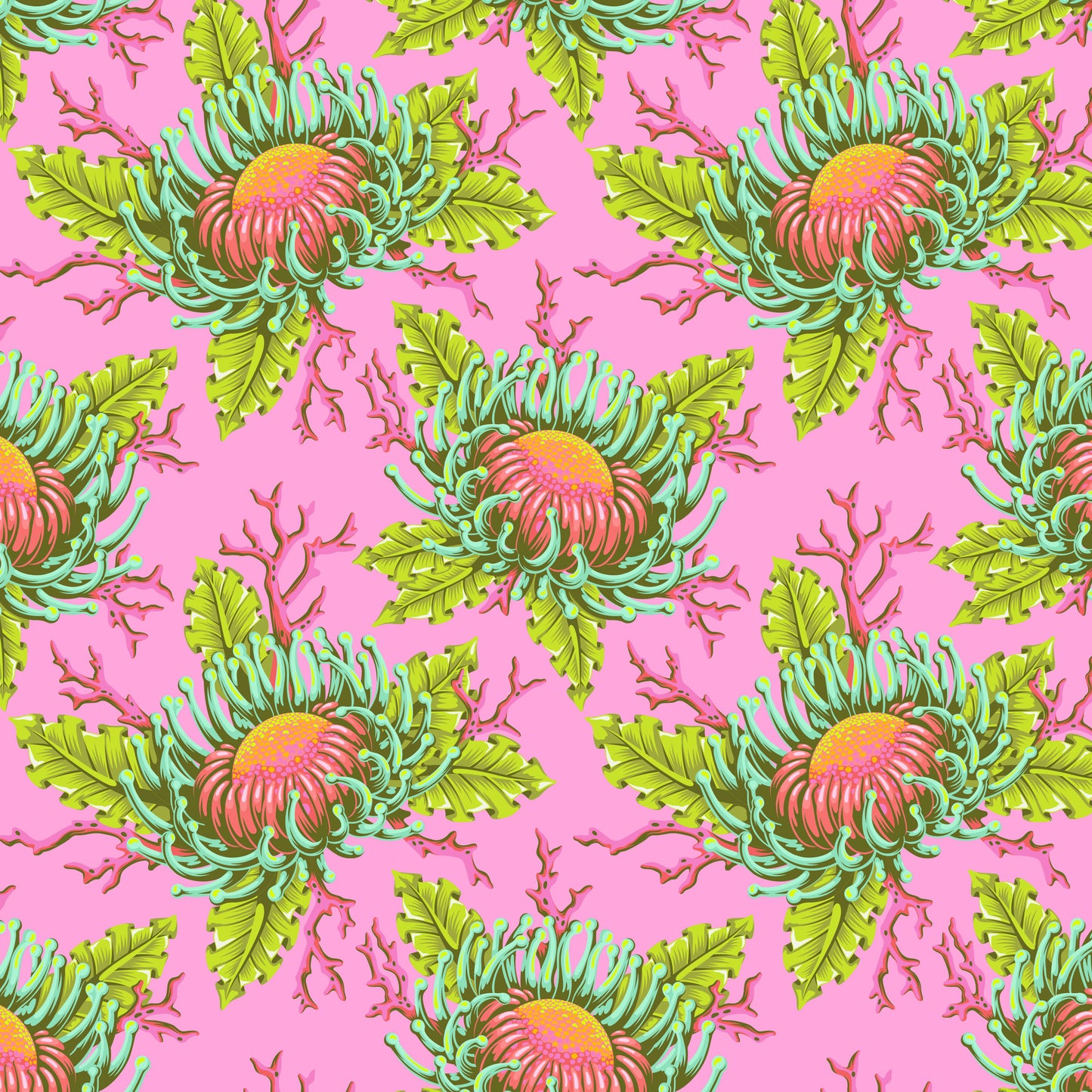 Friends & Anemones - Coralline