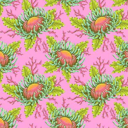 Friends & Anemones - Coralline
