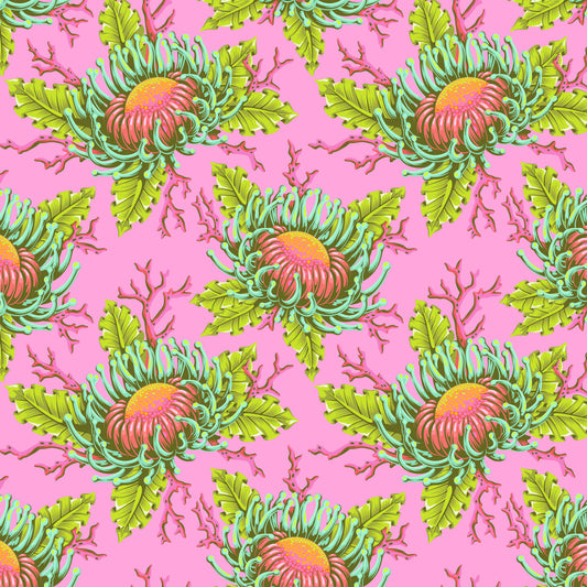 Friends & Anemones - Coralline