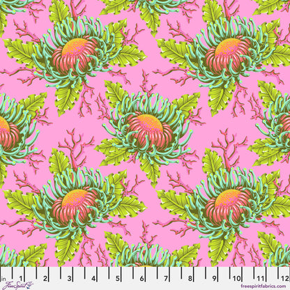 Friends & Anemones - Coralline