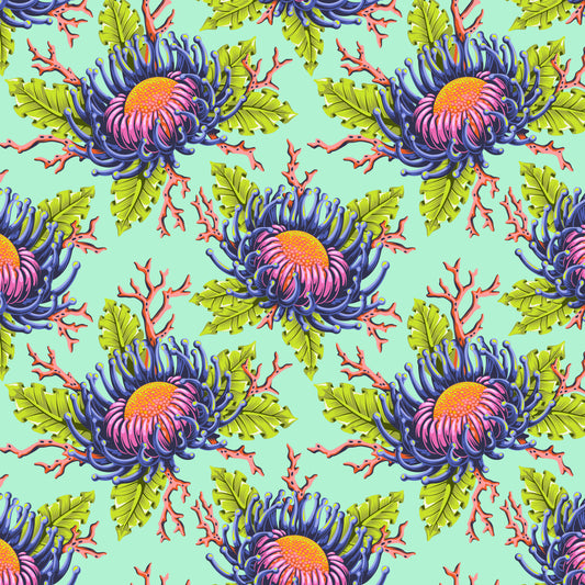 Friends & Anemones - Seafoam