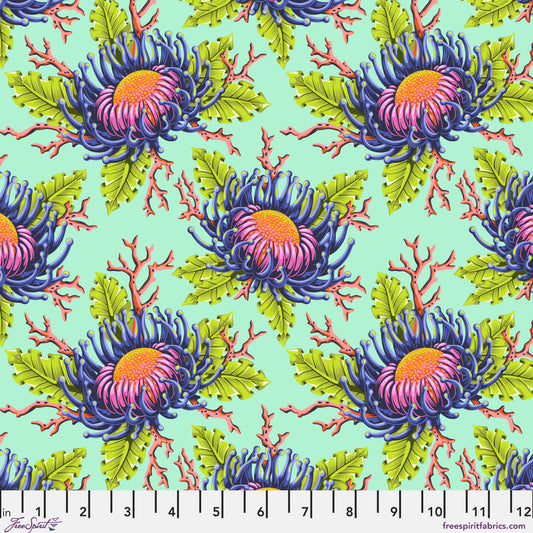 Friends & Anemones - Seafoam