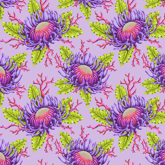 Friends & Anemones - Ultraviolet