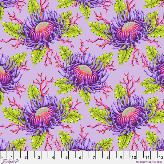 Friends & Anemones - Ultraviolet