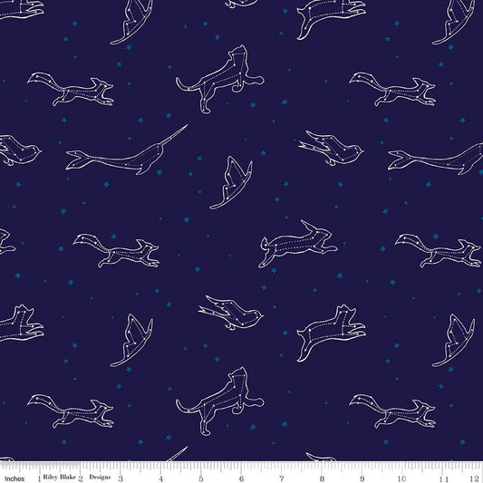 Constellations - Navy - Dreamworld - Emily Winfield Martin