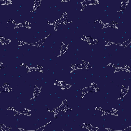 Constellations - Navy - Dreamworld - Emily Winfield Martin